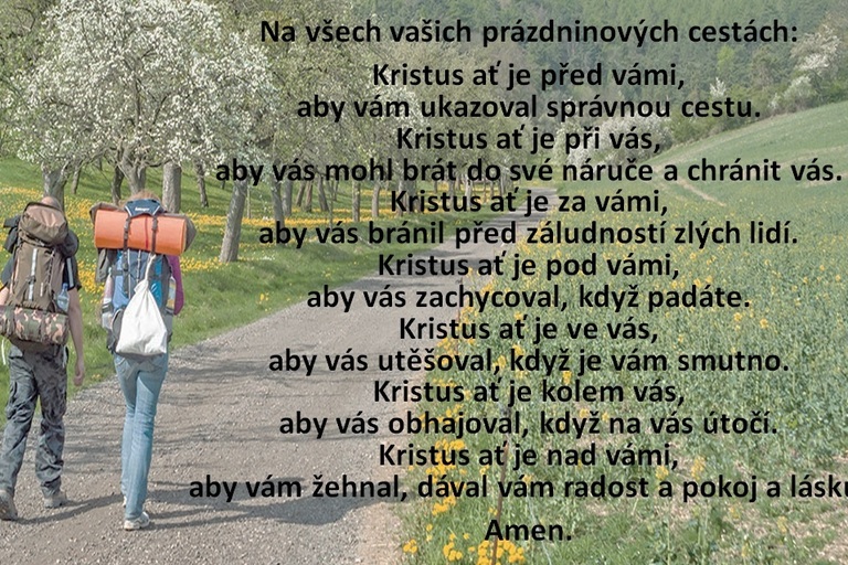 Přejeme vám krásné léto! 