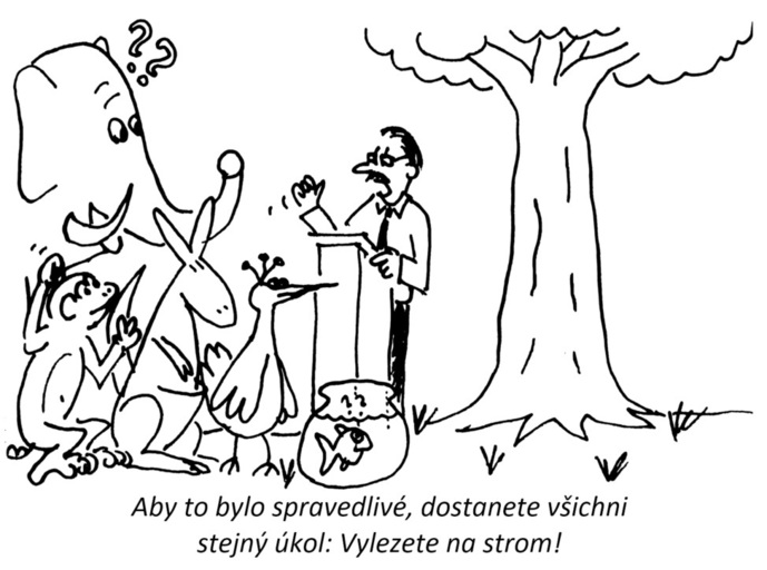 DISP - zvířecí škola DISP - zvířecí škola