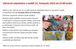 Výtvarné odpoledne 12. 11. 2023